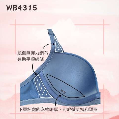 [網店限定] WB4315 無縫罩杯胸圍